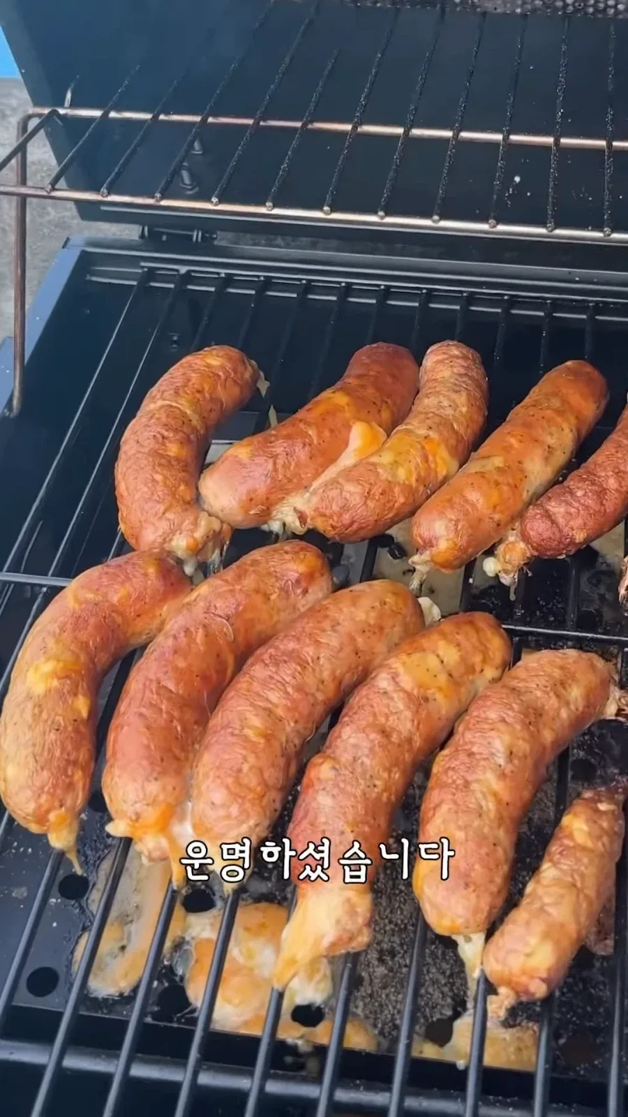 "거 낮잠자기 딱좋은 날씨네" 이미지 20