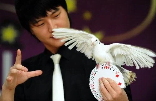 외계인의 침공을 확실하게 물리치는 방법 이미지 5
