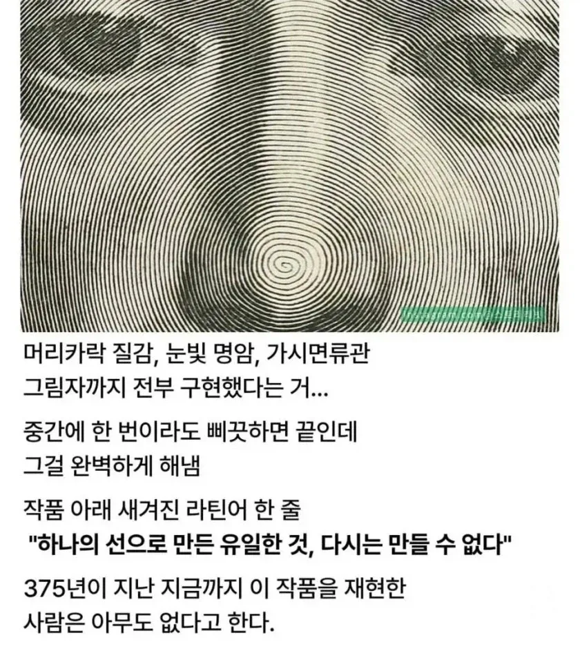 오직 선 하나로만 그린 그림_3.webp