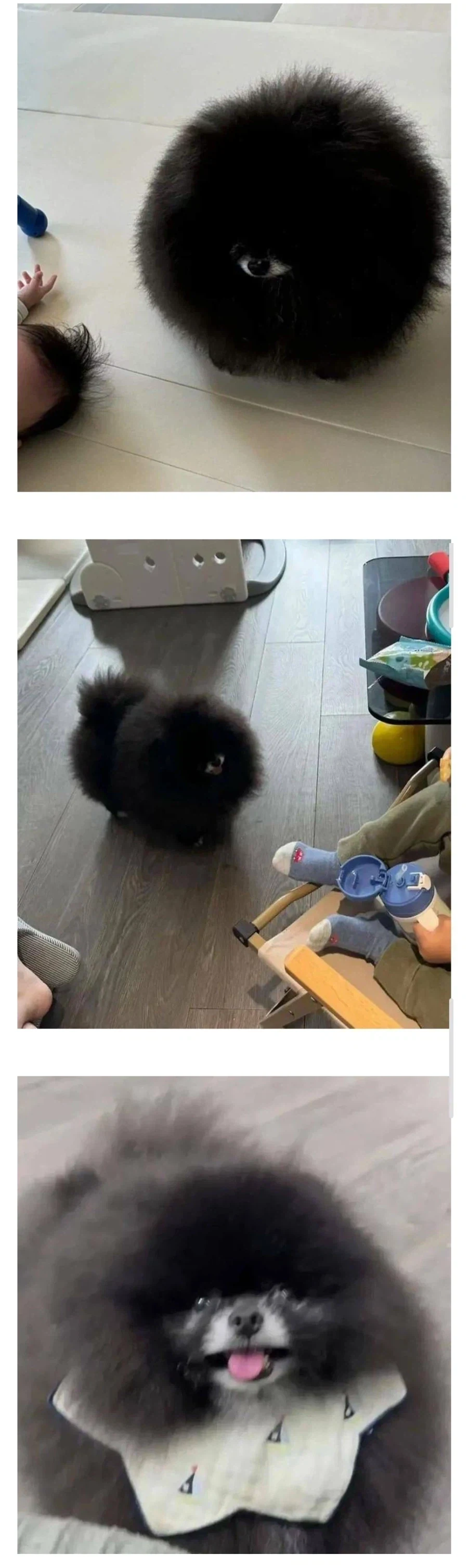 발로 차도 안무너진다는 신공법 욕실 파티션.jpg 대표 이미지