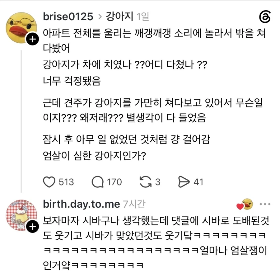 순간 조현병인가 의심받은 대학생 대표 이미지