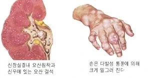 의외로 2021년도까지 나오던 잡지류 대표 이미지