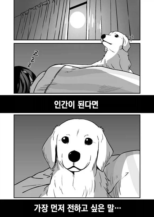 기르던 개가 인간이 된 만화_2.webp