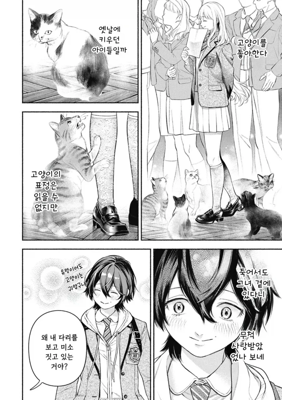 메이드의 벨.manhwa_7.webp