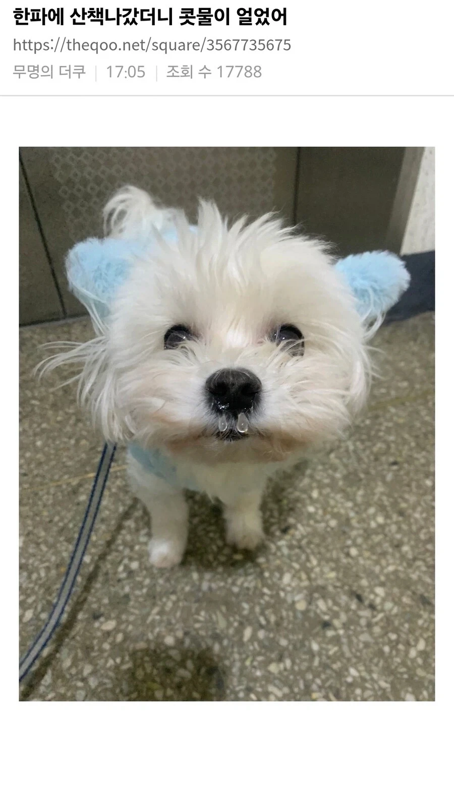 29만원짜리 피규어 이미지 2