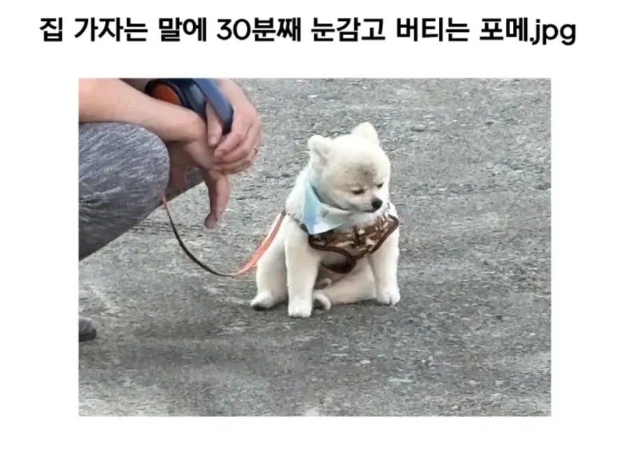 나루토)예토전생 아주 잘 활용했던 데이다라 대표 이미지