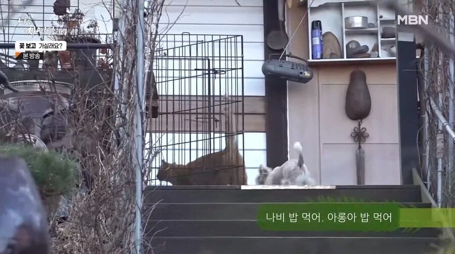 나는 자연인이다 출연자중 요리 잘했었던 자연인_6.webp