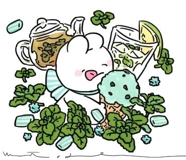마침내 가짜뉴스를 바로잡을때가 왔군_3.webp
