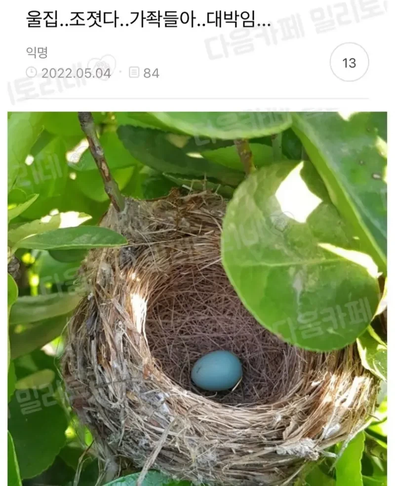 대박 우리집 하숙 들어왔는머?!_3.webp