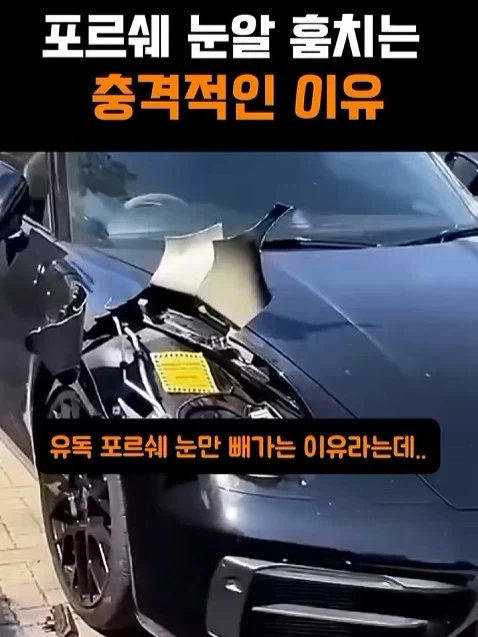 여우가 사랑하는 이야기.jpg 이미지 3