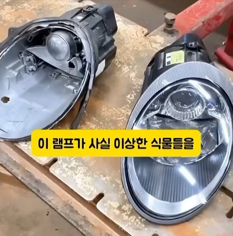 도둑들이 포르셰 눈알만 빼가는 이유_18.webp