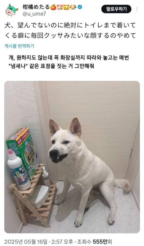 통일 사례에서 독일만 참고하는 이유 대표 이미지