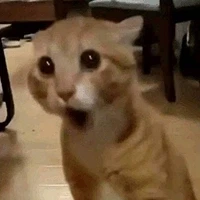 보지 ㅋㅋㅋㅋㅋ 이미지 2