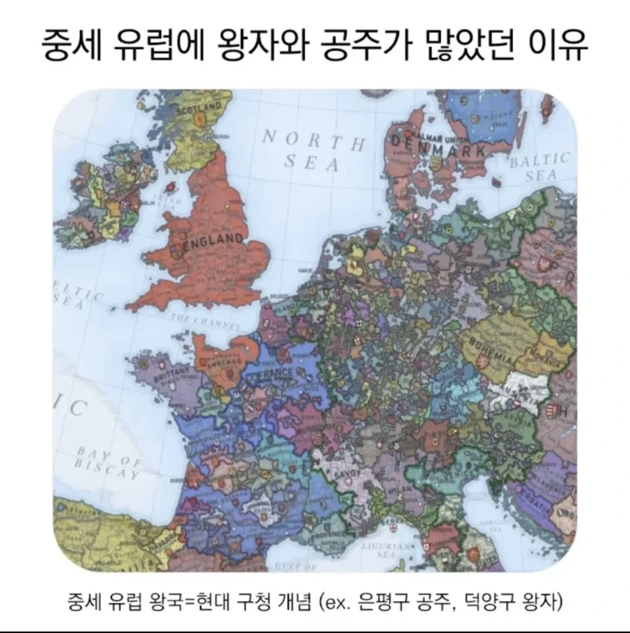 대회 팬 정상 vs 비정상 대표 이미지