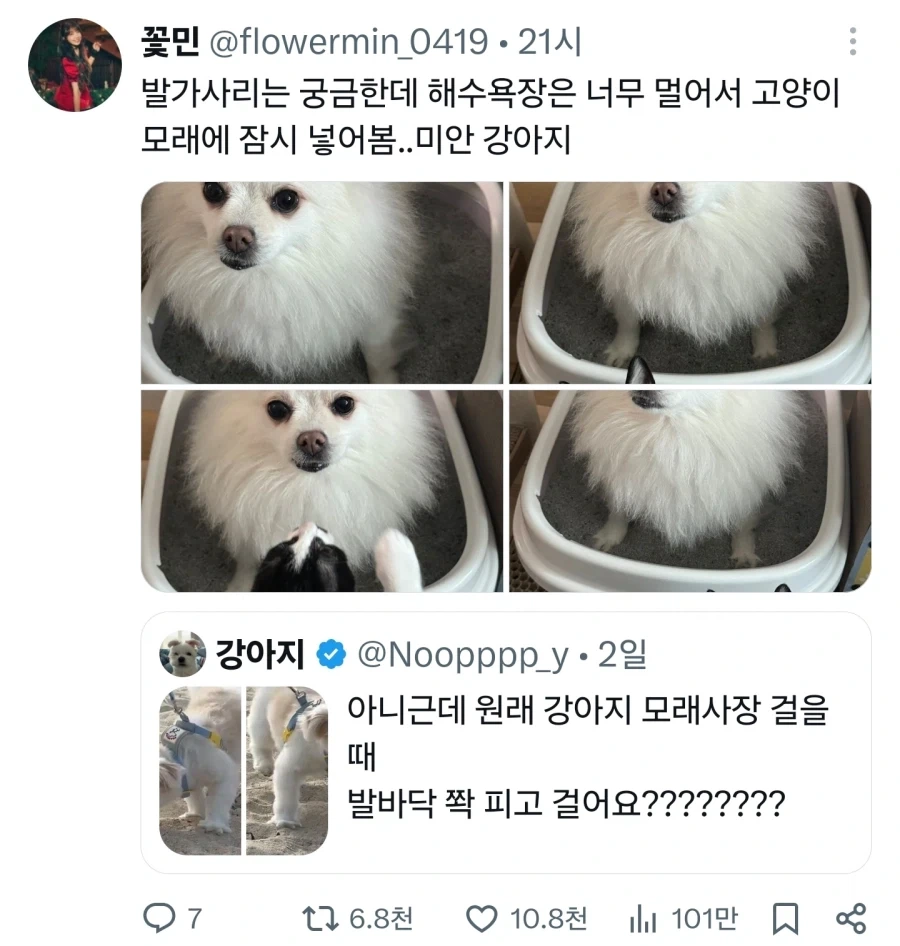 강아지 : 집사야....? 집사야??????_5.webp