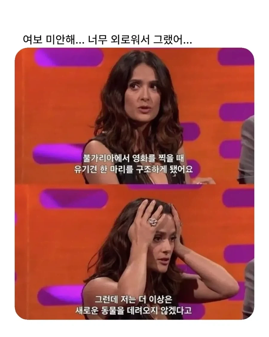 우리 편의점에 특급 주물이 있는거 같음 이미지 6