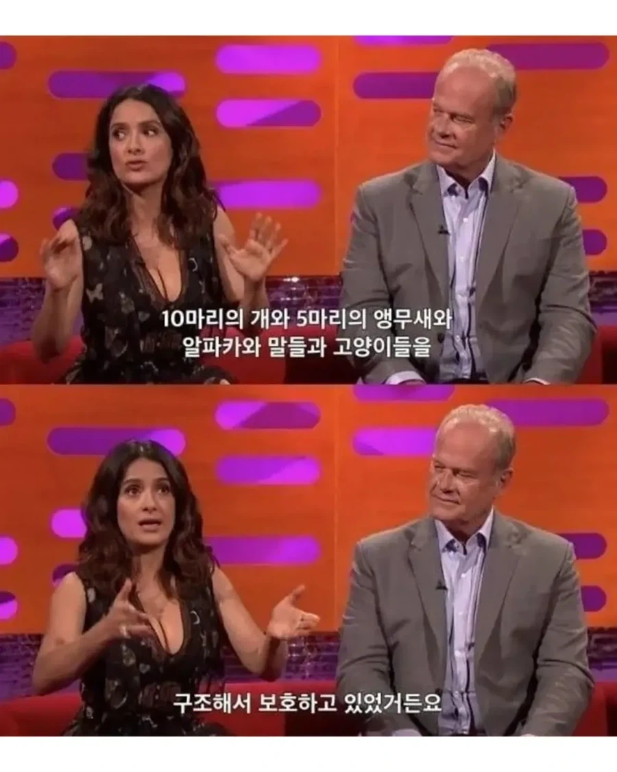 배우자에 대한 무한한 믿음과 확신_3.webp