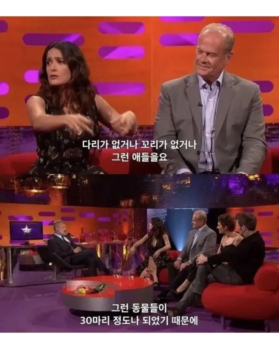 배우자에 대한 무한한 믿음과 확신_4.webp