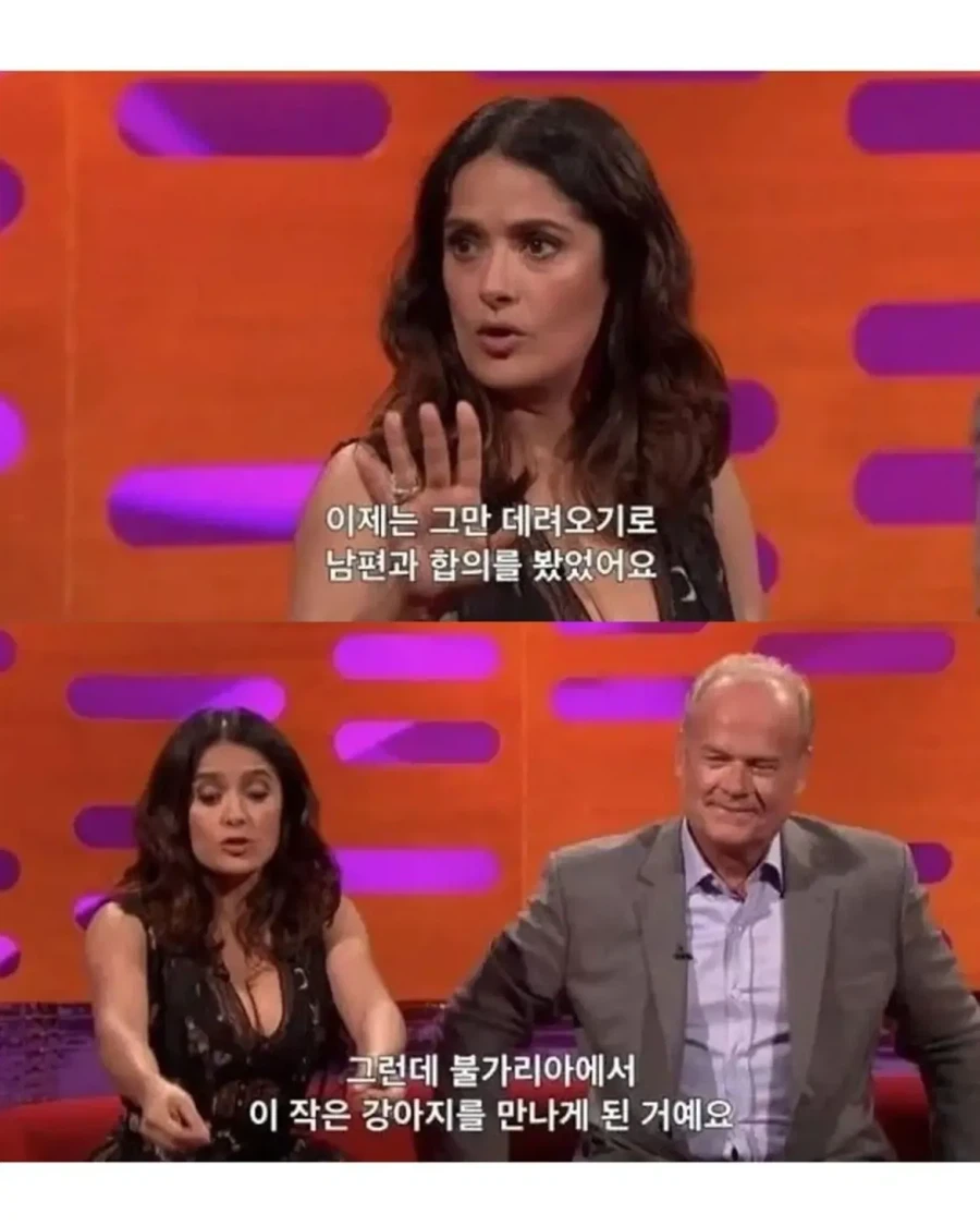배우자에 대한 무한한 믿음과 확신_5.webp