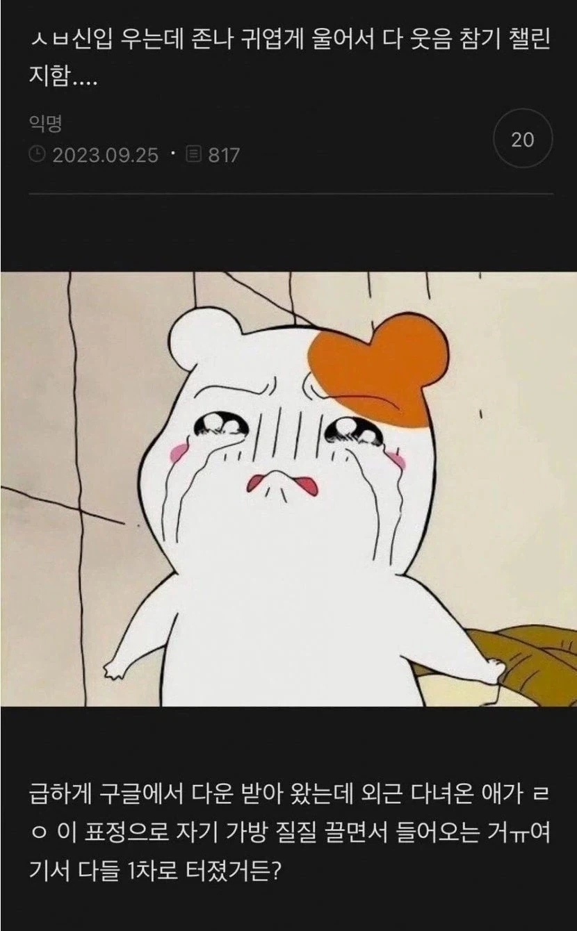 삼성전자와 하이닉스를 싫어하는 것 같은 일본 이미지 2