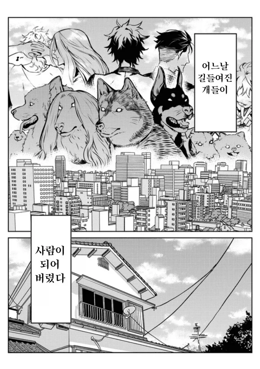 디지몬)의미가 있었던 그레이몬 계열의 공통점들 이미지 6