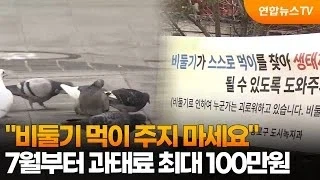 갤러의 처녀막을 가져가버린 디씨 완장 대표 이미지