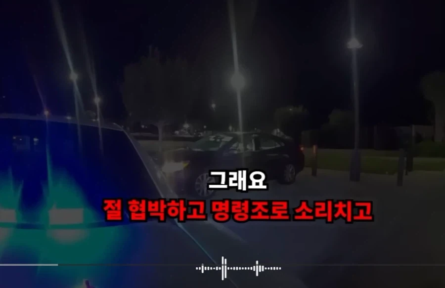 강압적인 경찰에 의해 차가 박살난 여성_4.webp