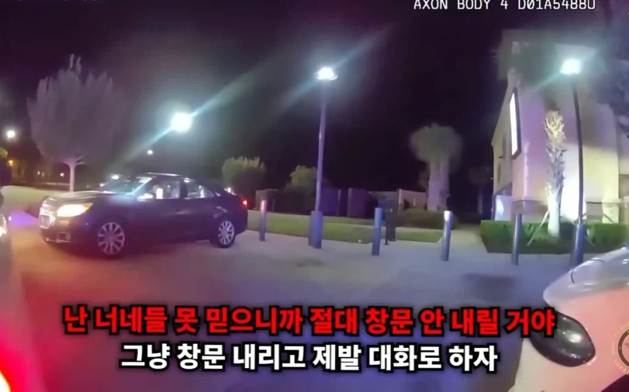 강압적인 경찰에 의해 차가 박살난 여성_5.webp