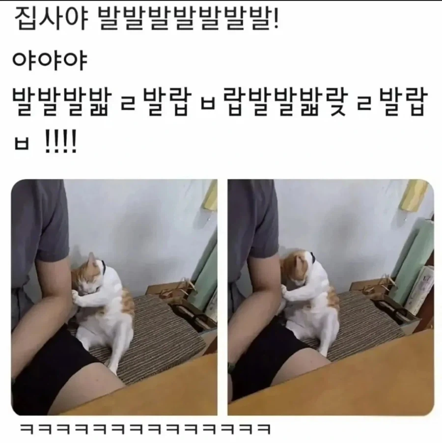 캐나다 잠수함 사업 가지고 캐나다 양심없다고 욕하는 애들 웃긴 점 이미지 2