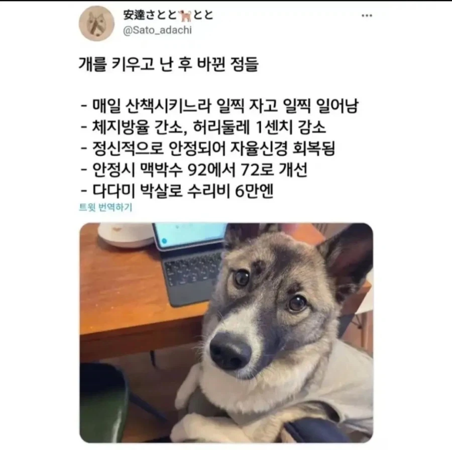 미쿠 구별 개쉽네 이미지 3