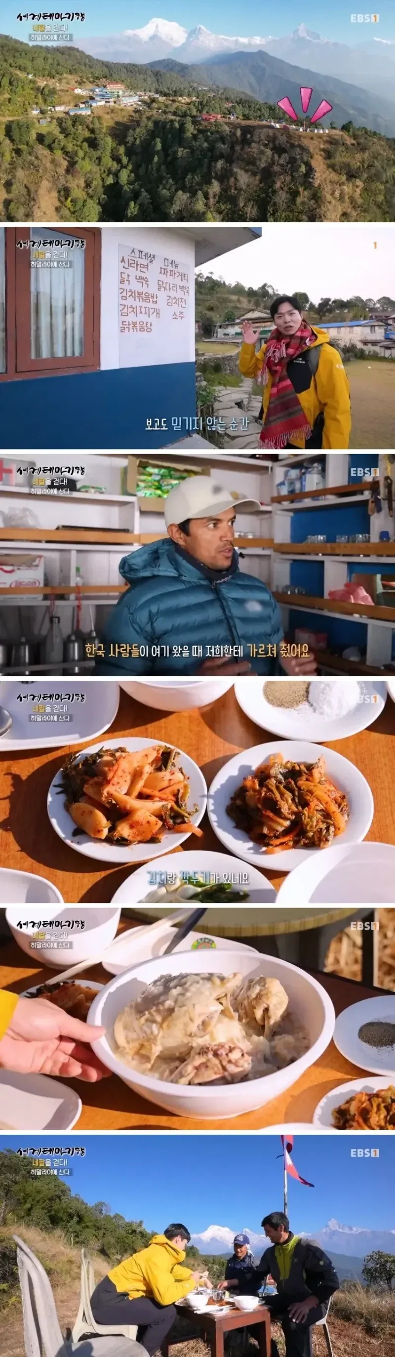 갈색여치를 언론에서 재앙급으로 묘사하는데 이미지 4