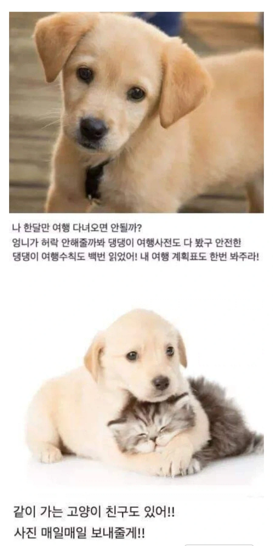 여행간다고 했을때 부모님이 극구 반대하신 이유를 깨달은 사람들_2.webp
