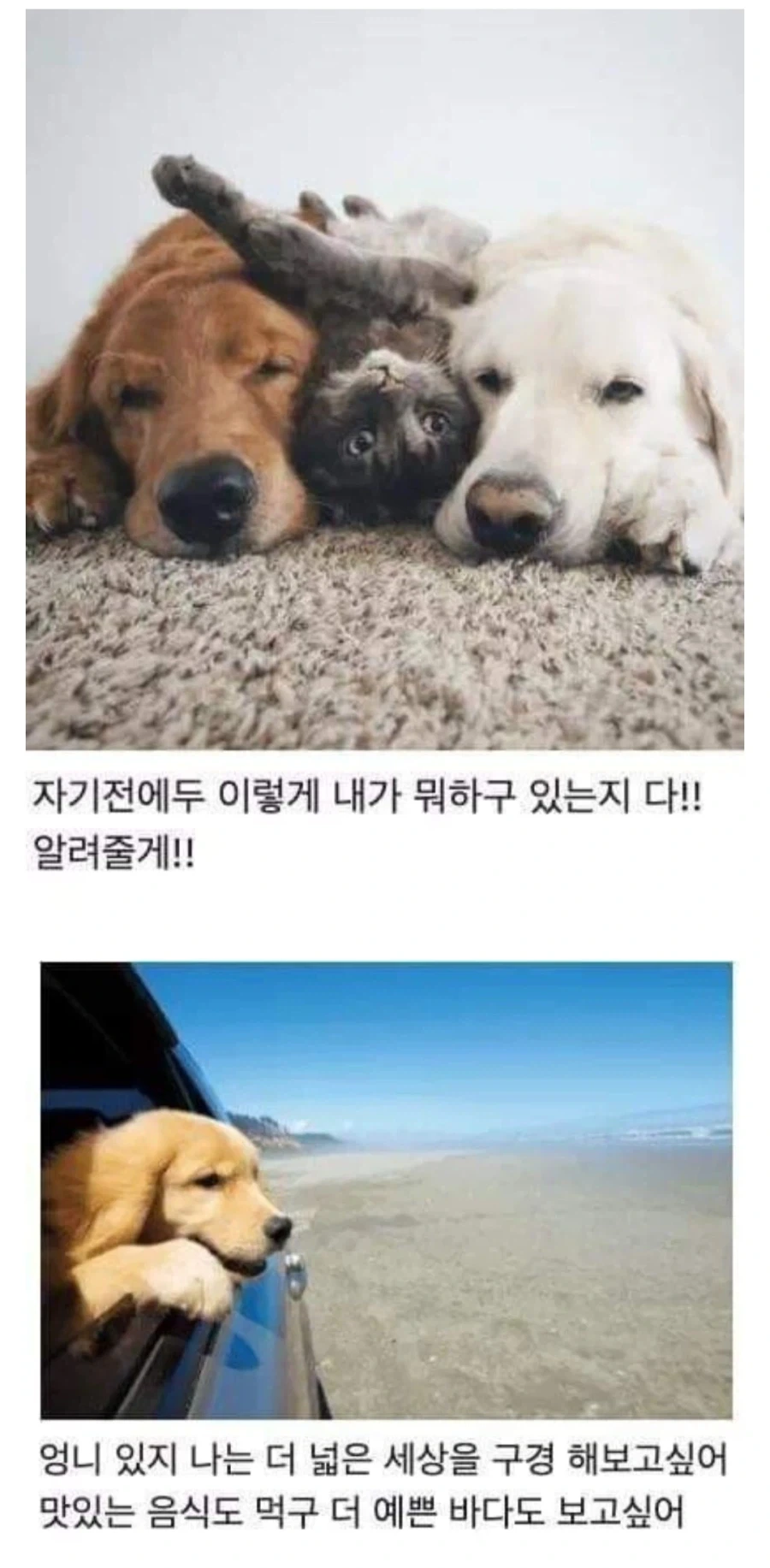 여행간다고 했을때 부모님이 극구 반대하신 이유를 깨달은 사람들_3.webp