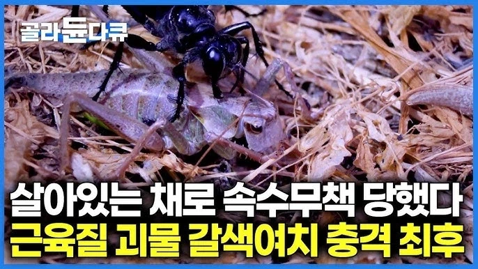 의외로 국가의 소유가 아니였던 물건 대표 이미지