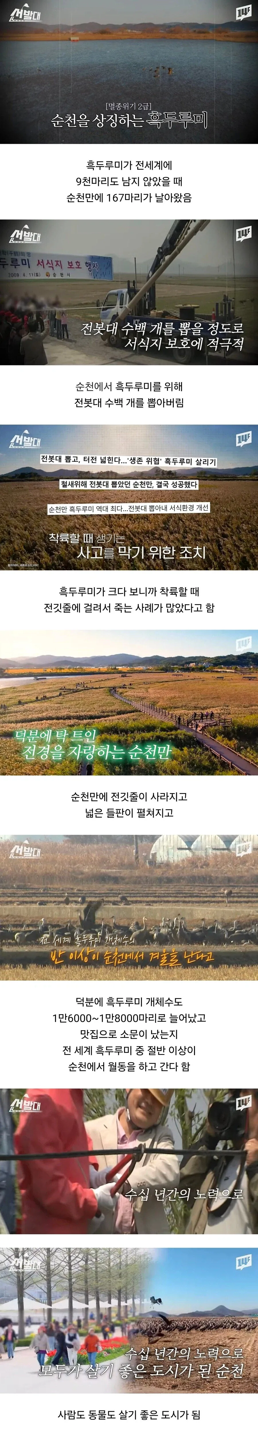 주식) 삼전 목표주가 하향 리포트뜸 ㄷㄷㄷㄷㄷㄷ 대표 이미지
