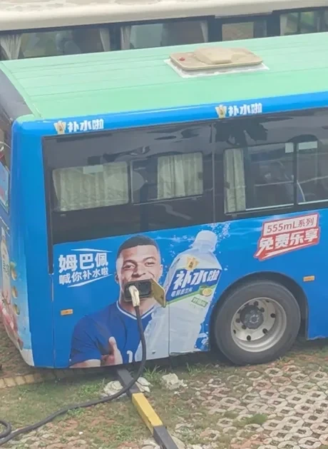 여동생(암컷) 대표 이미지