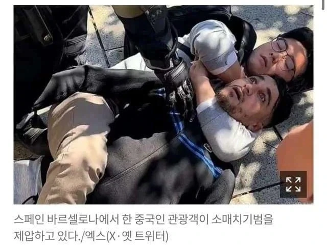5권이나 뚝심있게 민 설정 대표 이미지