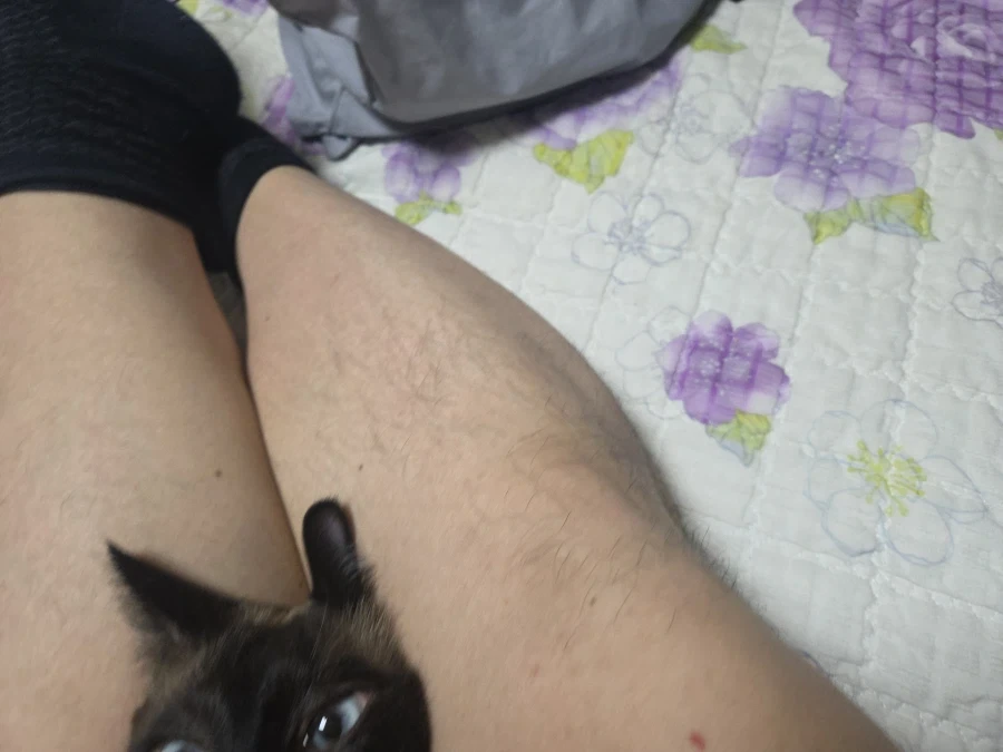 우울하면 고양이와 함께하면 치유됩니다~_5.webp
