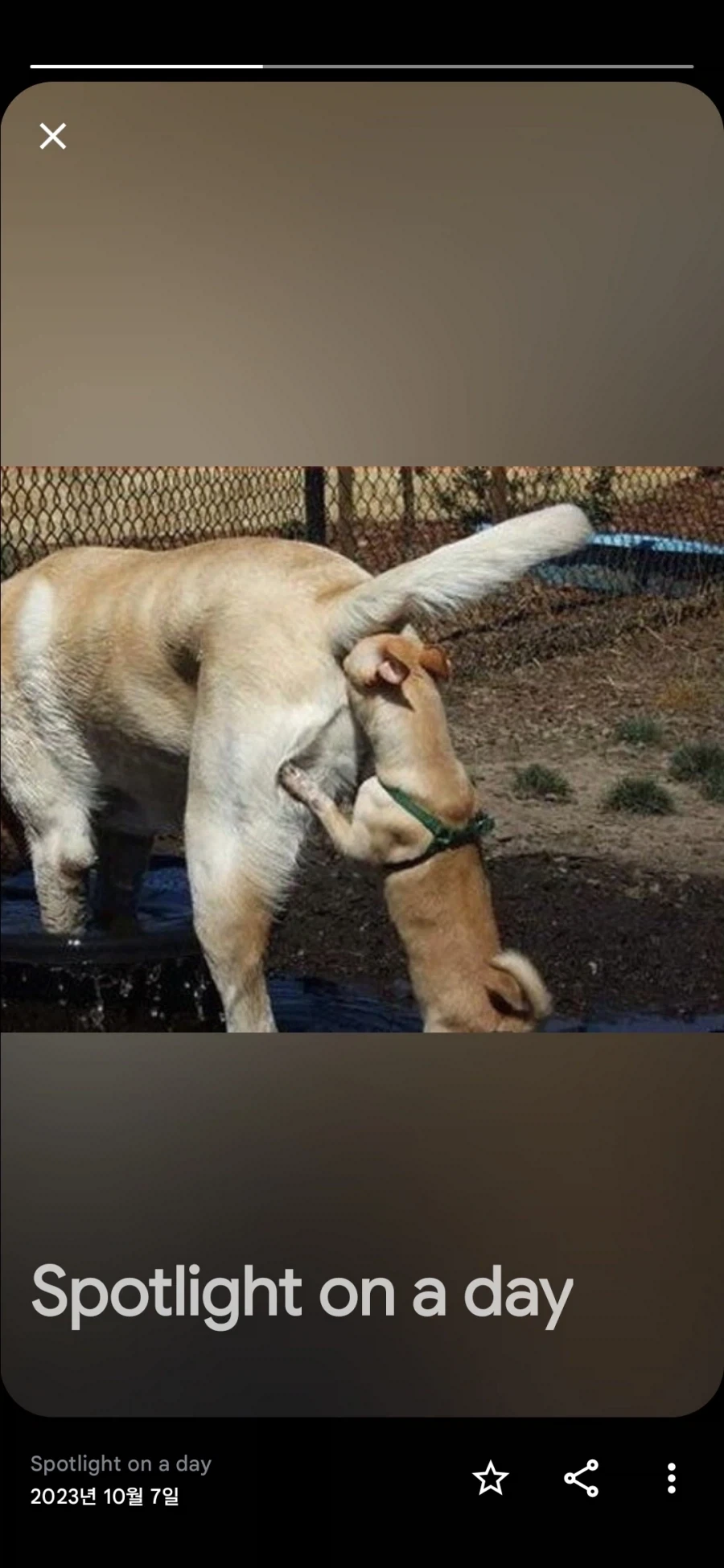부모가 자식의 거짓말을 알고도 속아주는 이유.png 이미지 2