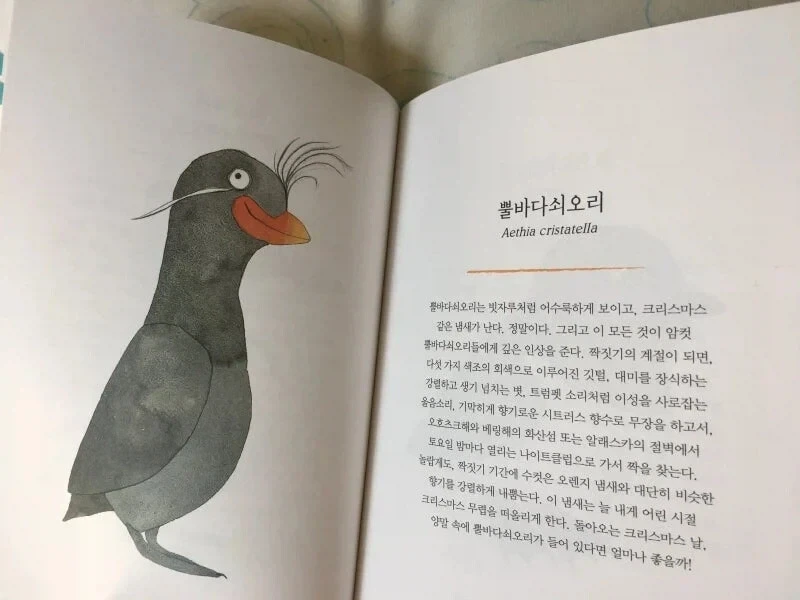 새 그림 진짜 대충 그렸네 ㅋㅋㅋ.jpg_2.webp