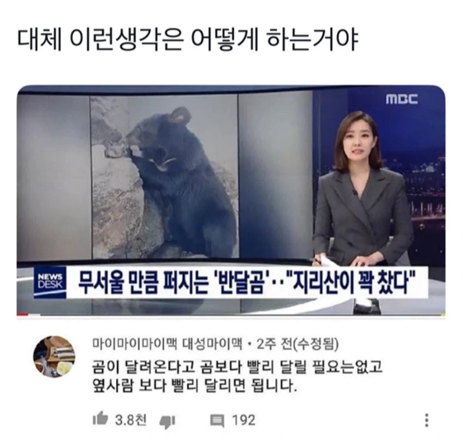 국기무스메] 네 이놈! 블루 아카이브! 이미지 5