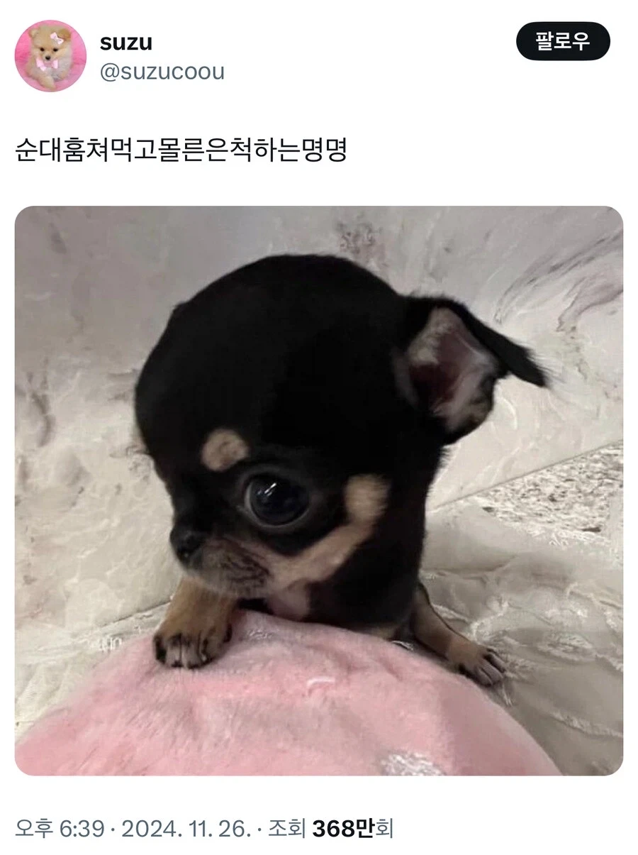 스폰지밥의 가슴과 뚱이의 잦이 이미지 2