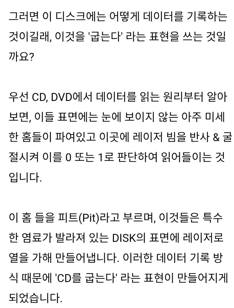 고양이가 집사를 자꾸 부른 이유 이미지 7