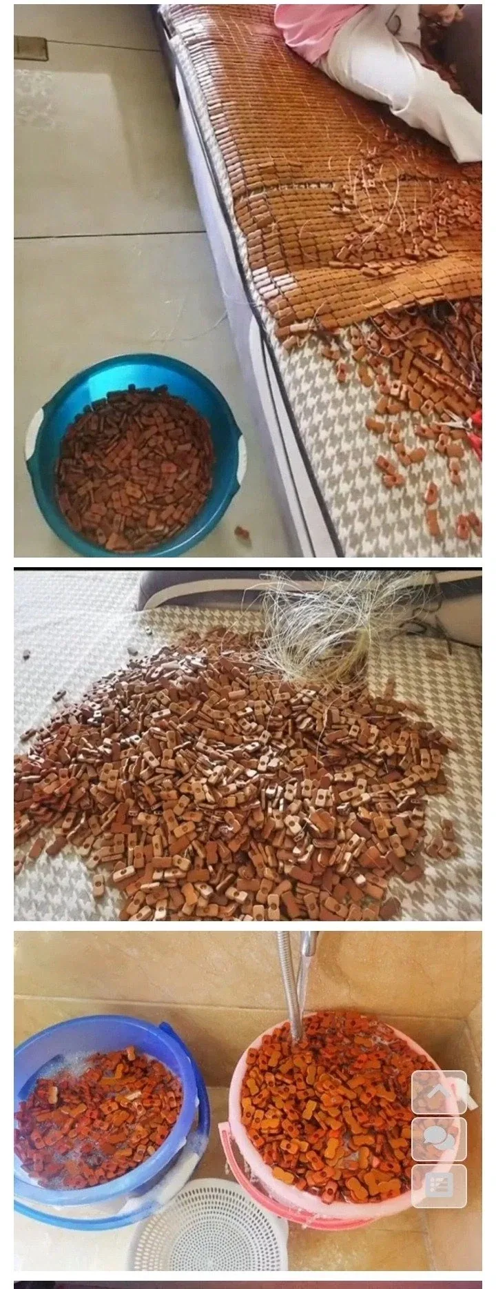현세대 독점작 1황 대표 이미지