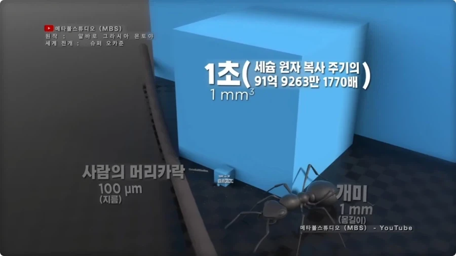 시간의 길이를 크기로 시각화 하면.jpg_3.webp
