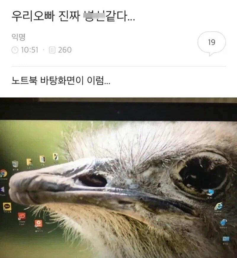 외국인들 한국 여행오는 이유중 하나 대표 이미지