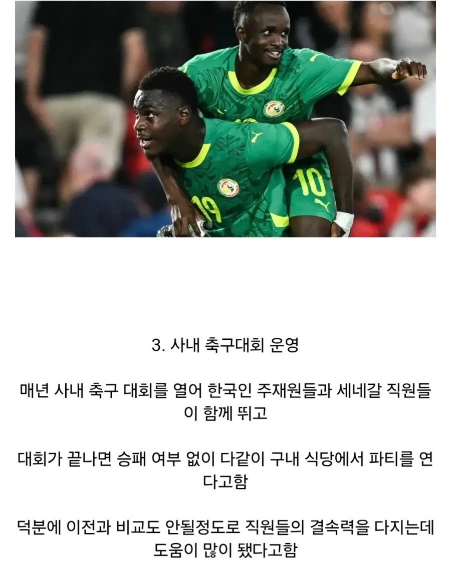 아프리카 세네갈의 국민 기업이 된 한국 기업.jpg_5.webp