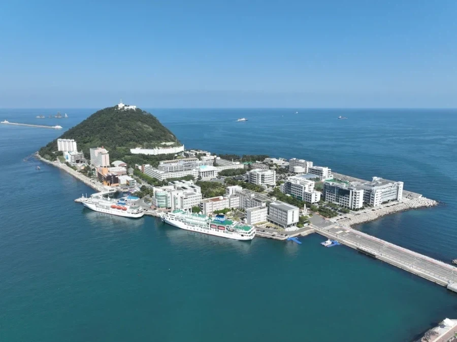 와 무슨 노래인지 정말 모르겠다 대표 이미지
