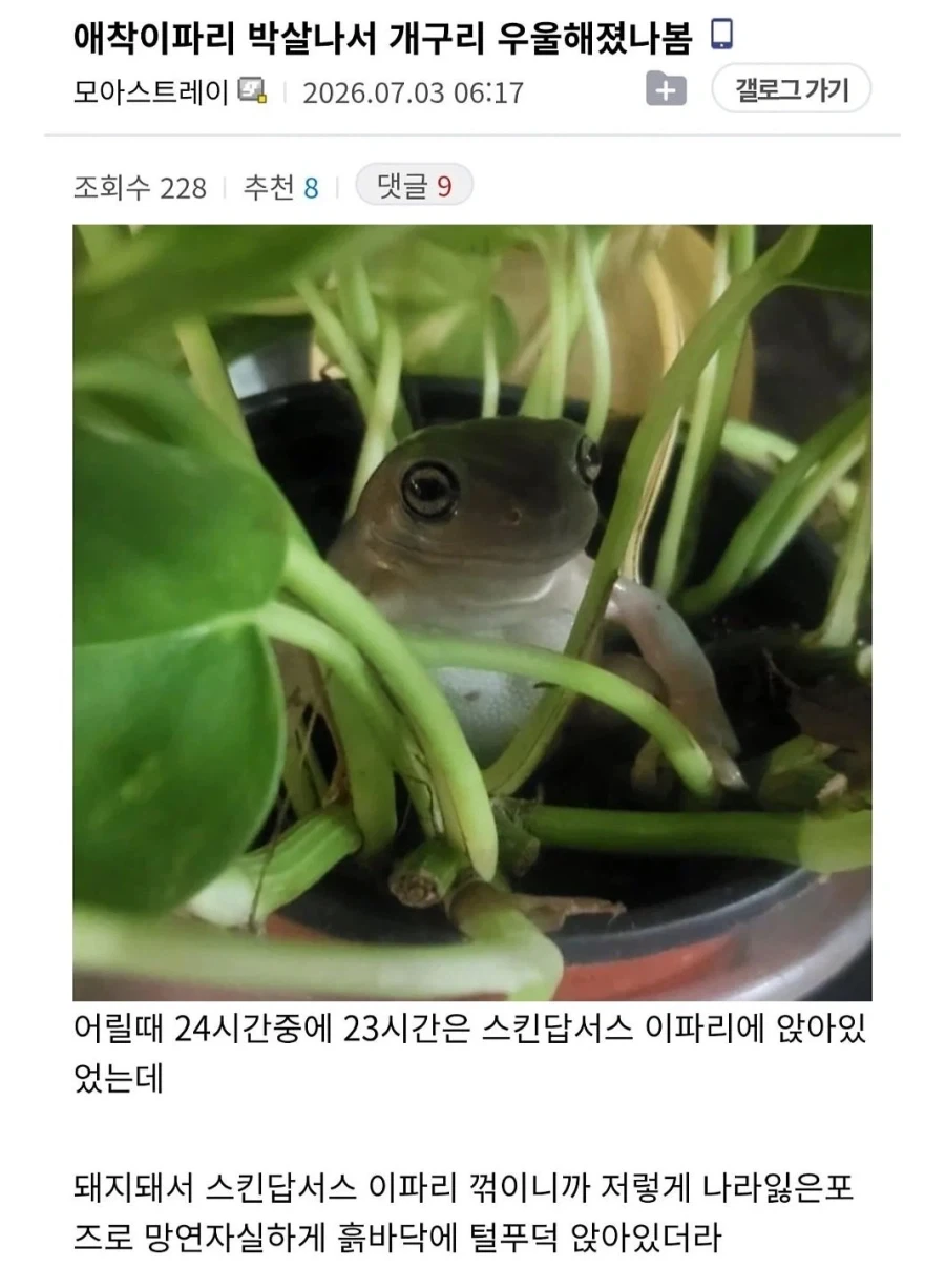 첫경험 했는데 고추가 녹는 쾌감남. 이미지 3