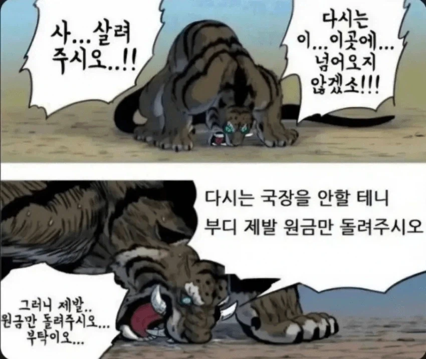 창작자에게 생각보다 매우 중요한것 대표 이미지